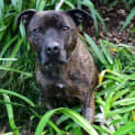 Photo of Aseki