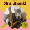 Photo of Mrs Chonk ππΈπ©·