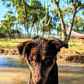 Photo of Tilly