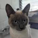 Photo of Astro Boy 