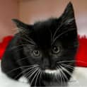 Photo of Sugar