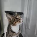 Photo of Hera