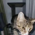 Photo of Hera