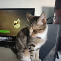 Photo of Hera