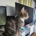 Photo of Hera