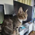 Photo of Hera