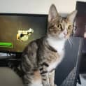 Photo of Hera