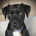 Photo of Binx