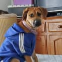 Photo of Tipsy