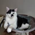 Photo of Tobi
