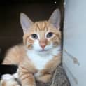 Photo of Berry