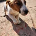 Photo of Luca