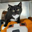 Photo of Peggy