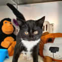 Photo of Peggy