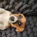 Photo of Franco 🤎