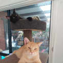 Photo of Mr Pickles 