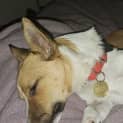 Photo of Rendra