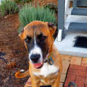 Photo of Sansa