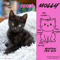 Photo of Molly