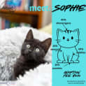 Photo of Sophie