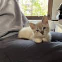 Photo of Aang