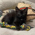 Photo of Zuko