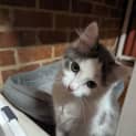 Photo of Stormy