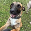 Photo of Baxter