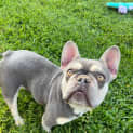 Photo of Sisi