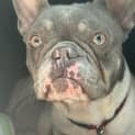 Photo of Diamond
