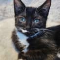 Photo of Azula