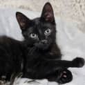 Photo of Zuko