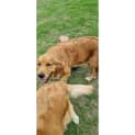 Photo of Trudy