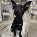 Photo of Maggie