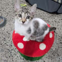 Photo of Chloe