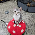 Photo of Zoe