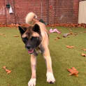 Photo of Matilda