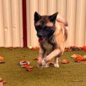 Photo of Matilda