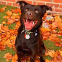 Photo of Axle