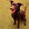 Photo of Axle