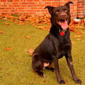 Photo of Axle