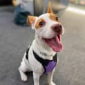 Photo of Hallie