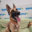 Photo of Emperor