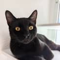 Photo of Zuko