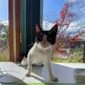 Photo of Bug