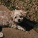 Photo of Sammy