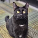 Photo of Milly