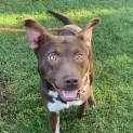 Photo of Rolo