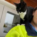 Photo of Smudge