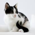 Photo of Mimi